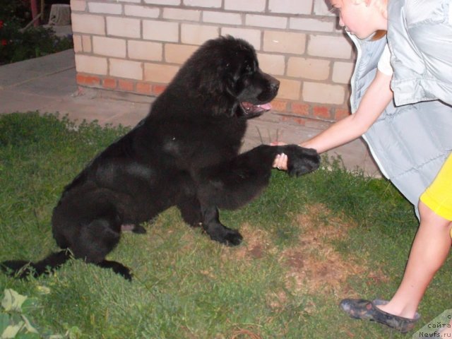 Фотография № 75986