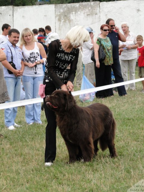 Фотография № 76039