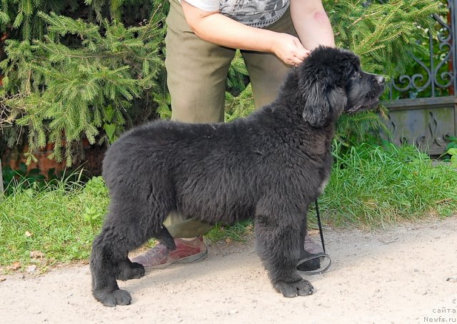 Фотография № 76073