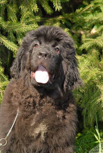 Фотография № 76076