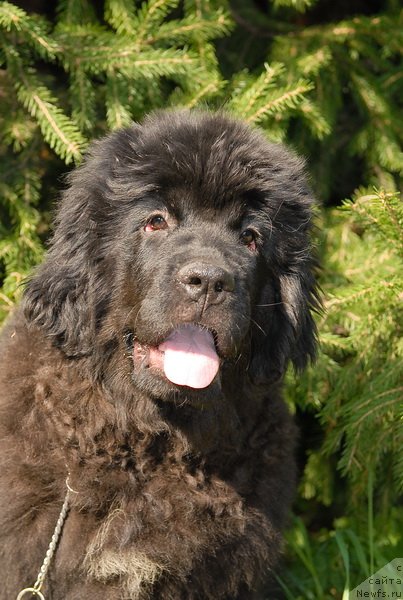 Фотография № 76079