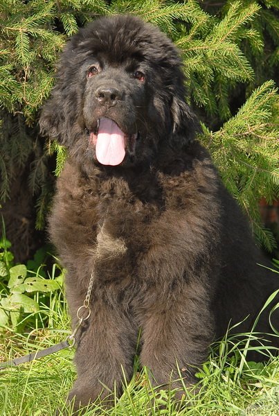 Фотография № 76080