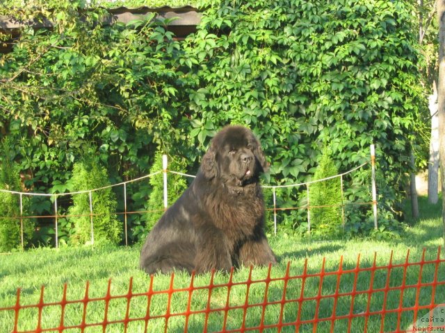 Фотография № 76096