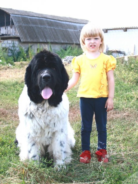 Фотография № 76105