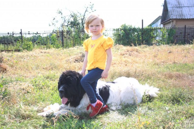 Фотография № 76107