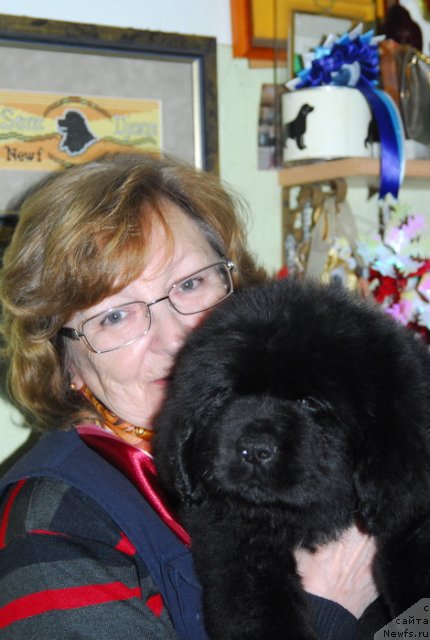 Фотография № 76115