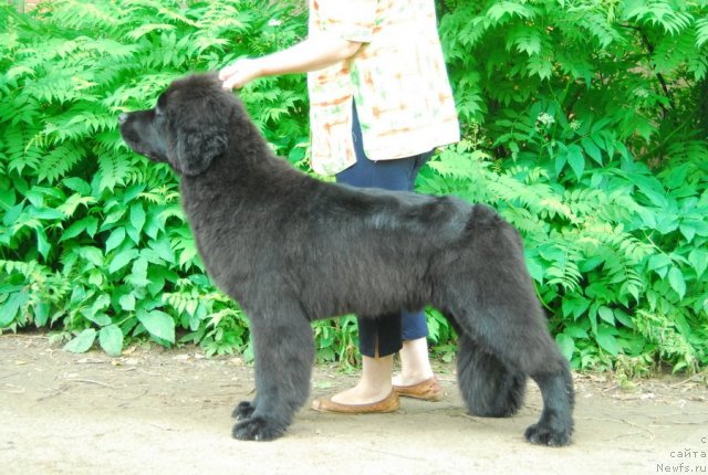 Фотография № 76116