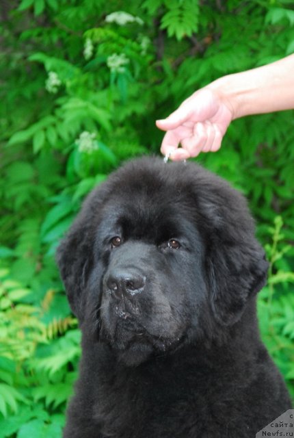 Фотография № 76117