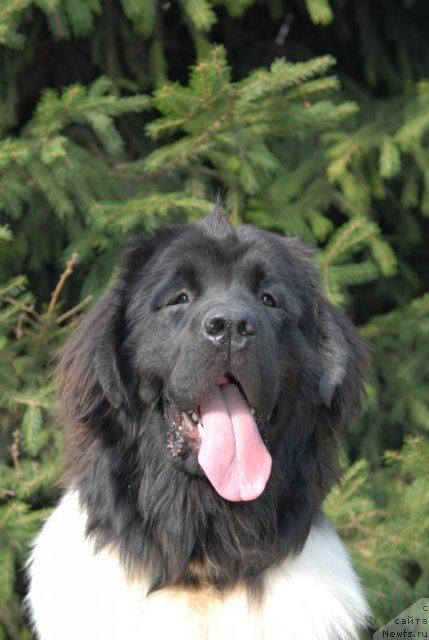 Фотография № 76120