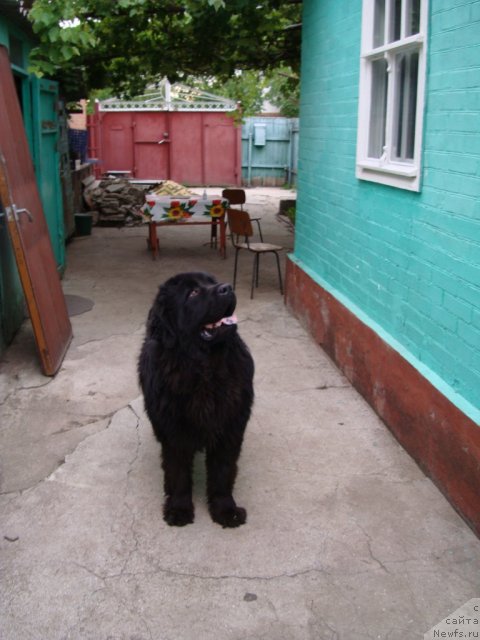 Фотография № 76125