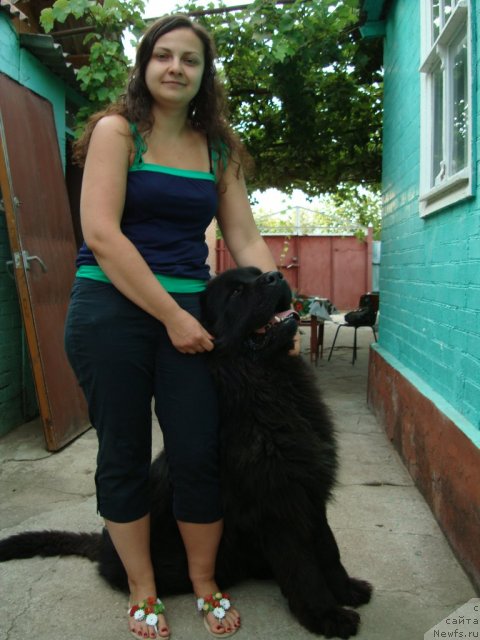 Фотография № 76129