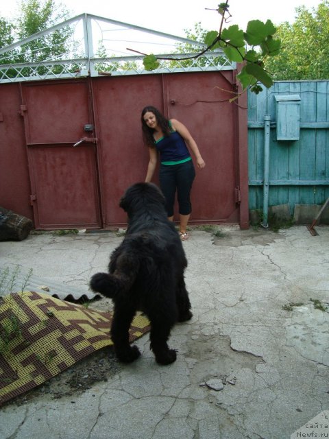 Фотография № 76131