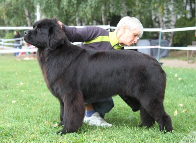 Фотография № 76249