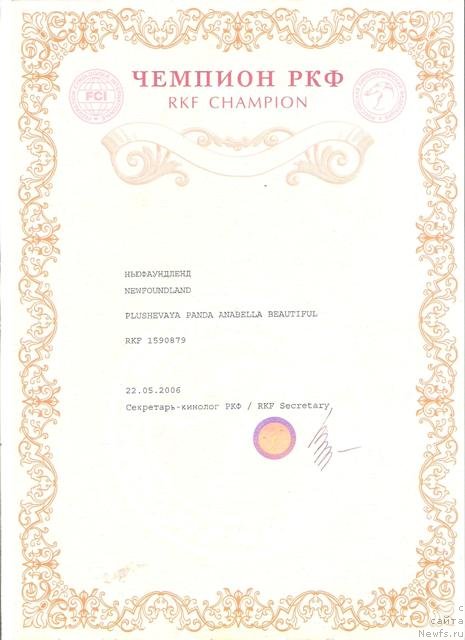 Фото: ньюфаундленд Plushevaya Panda Anabella Beautiful (Плюшевая Панда Анабелла Бьютифул)