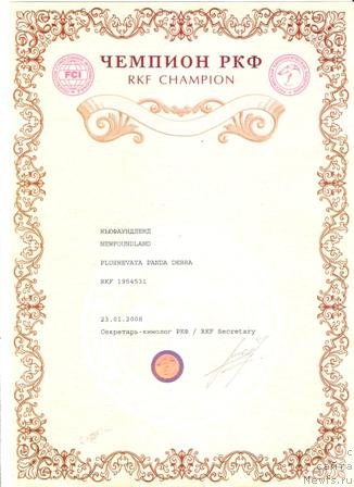 Фото: ньюфаундленд Plushevaya Panda Debra (Плюшевая Панда Дэбра)