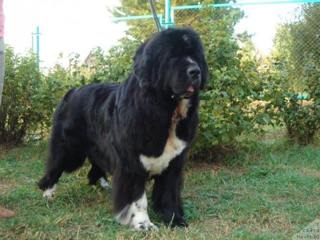 Фотография № 76313