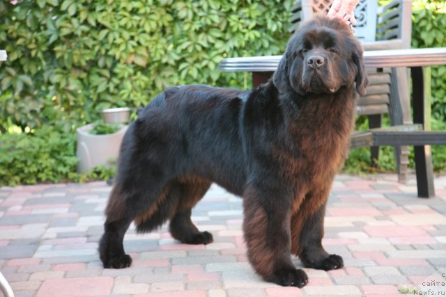 Фотография № 76323