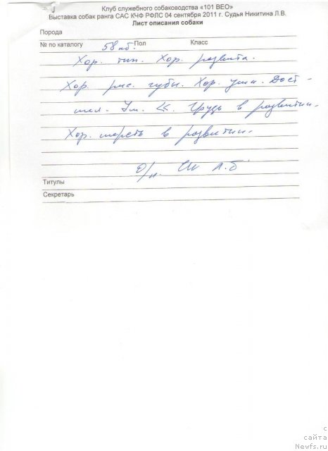 Фото: ньюфаундленд Very Fairweathers X'Got The Rhythm