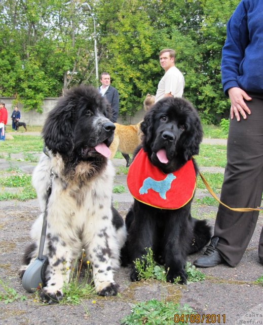 Фотография № 76362