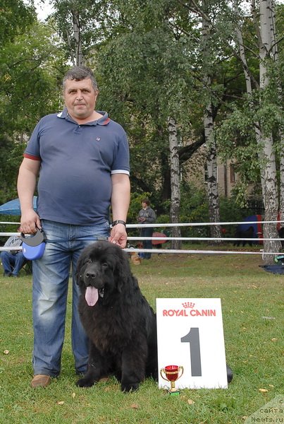 Фотография № 76379