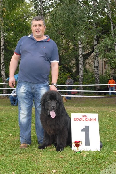 Фотография № 76380