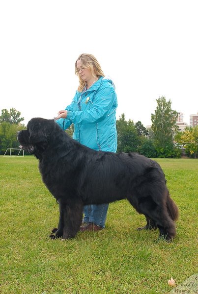 Фотография № 76383