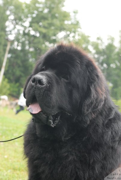 Фотография № 76384