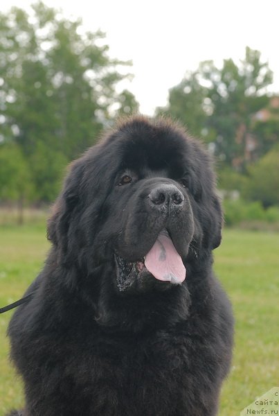 Фотография № 76385