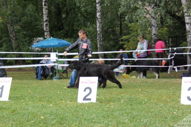 Фотография № 76387