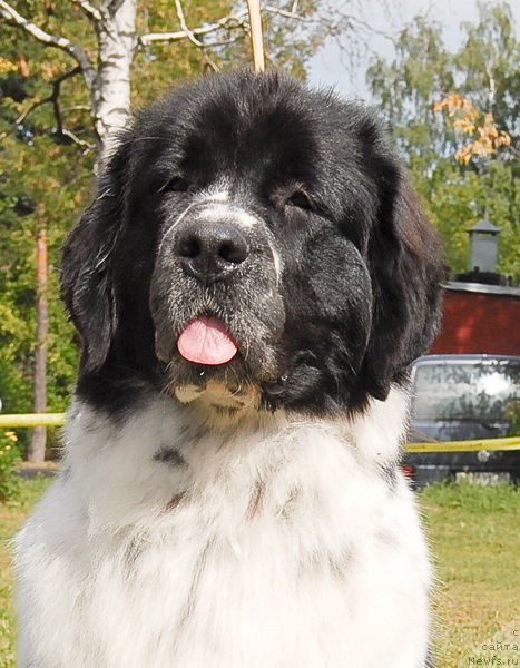 Фотография № 76392