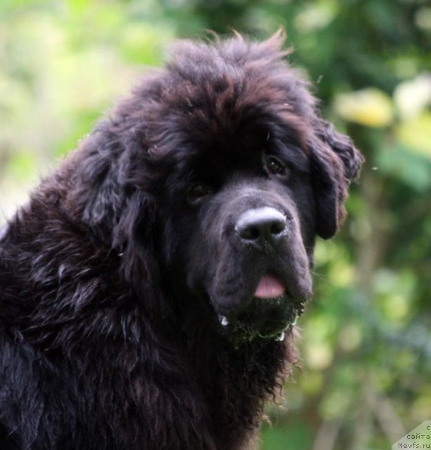 Фотография № 76408