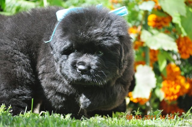 Фотография № 76518