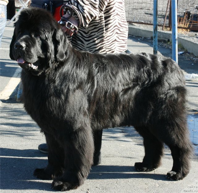 Фотография № 76522