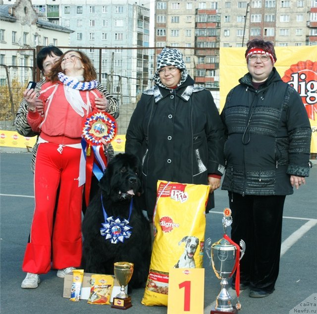 Фотография № 76524