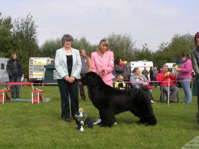 Фотография № 76543