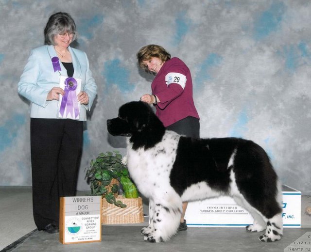 Фотография № 76544