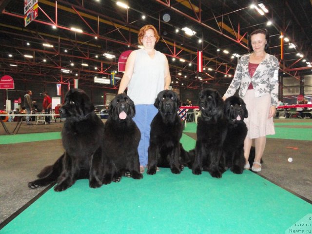 Фотография № 76548