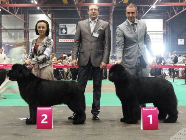 Фотография № 76559