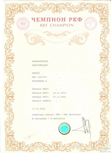 Фото: ньюфаундленд Greyzi (Грейзи)