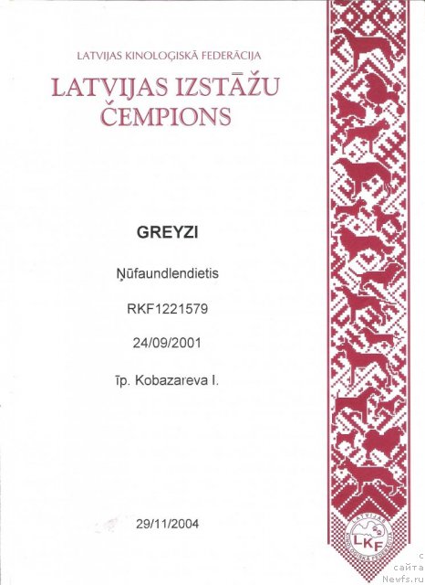 Фото: ньюфаундленд Greyzi (Грейзи)