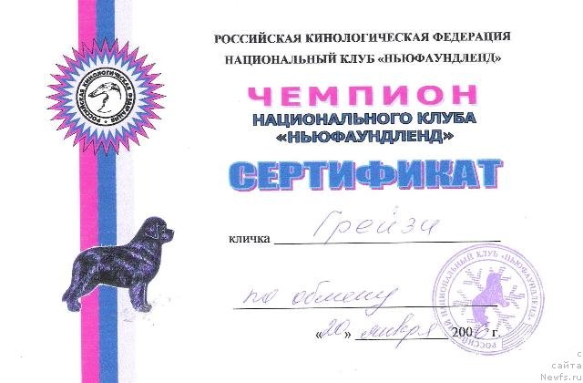 Фото: ньюфаундленд Greyzi (Грейзи)