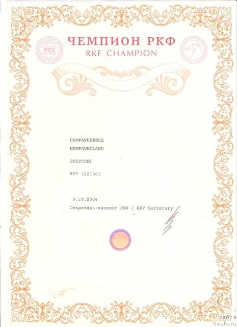 Фото: ньюфаундленд Bonyfatciy (Бонифаций)