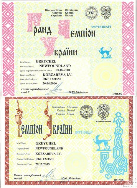 Фото: ньюфаундленд Greychel (Грейчел)