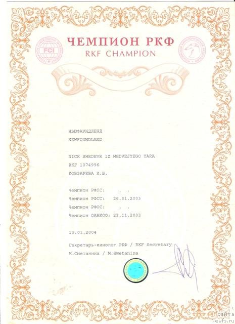 Фото: ньюфаундленд Nick Shedevr iz Medvejyego Yara (Ник Шедевр из Медвежьего Яра)