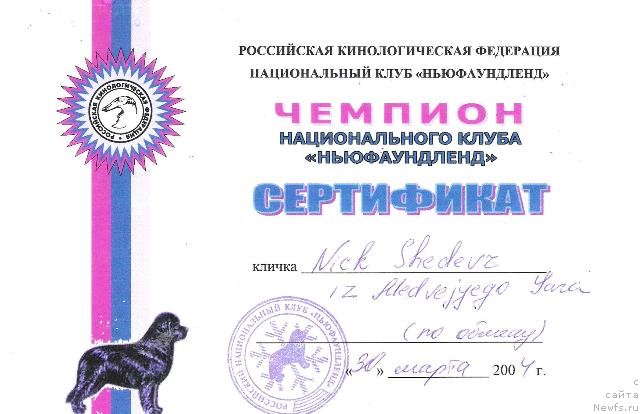 Фото: ньюфаундленд Nick Shedevr iz Medvejyego Yara (Ник Шедевр из Медвежьего Яра)