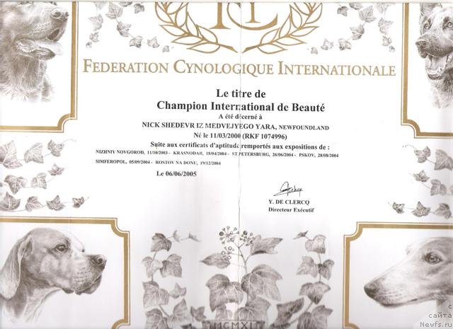 Фото: ньюфаундленд Nick Shedevr iz Medvejyego Yara (Ник Шедевр из Медвежьего Яра)