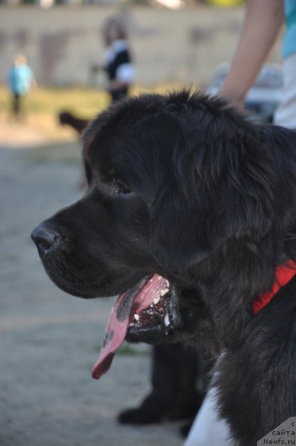 Фотография № 76584