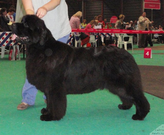 Фотография № 76588