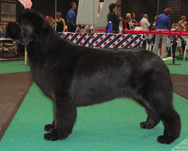 Фотография № 76589