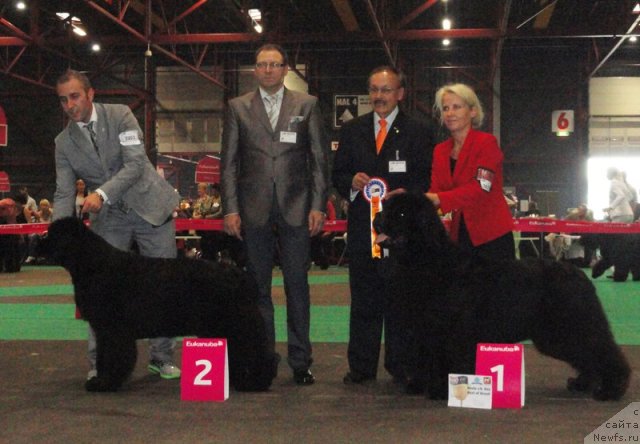 Фотография № 76591